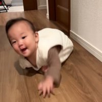 ハイハイする赤ちゃん