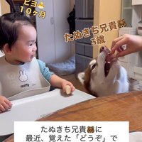 梨を食べるZIGGYくんと男の子2