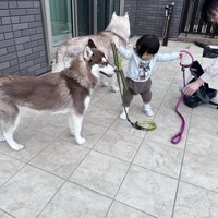 お散歩