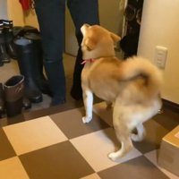 お兄ちゃんを見て大喜び♪