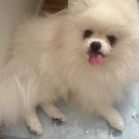 舌をペロッ♪