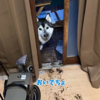 「庭においで」