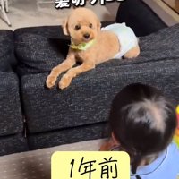 ふうたくんに尋ねる女の子