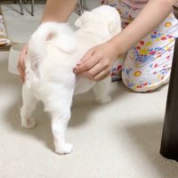 ママさんのそばへ