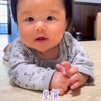 赤ちゃんとお兄ちゃん犬たち5