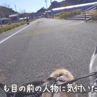 前方からママと赤ちゃんが来るも…