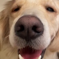 なでられてニッコリ