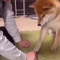 何度試しても…