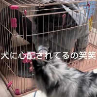 怒ってる？心配してる？