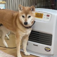 アピール上手！！