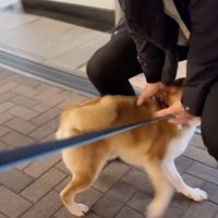 爆上がったテンション