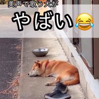 音楽に合わせて歌うコロちゃん
