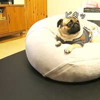 思った以上にびっくり！