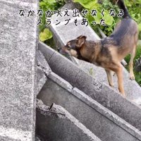 スランプのまる君