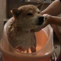 「あれ？気持ちいいかも」