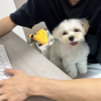 ニコニコ