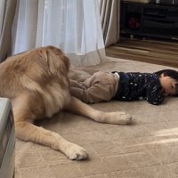 犬のそばで横になる赤ちゃん