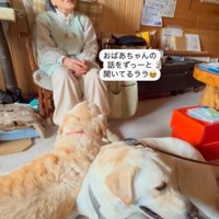 ララちゃんとユーザーさんの再会8