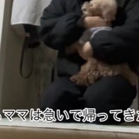 ちびちゃんのお出迎え4