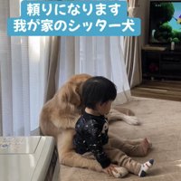 犬の体に寄りかかる赤ちゃん