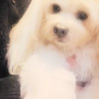 温かなエピソードに感動