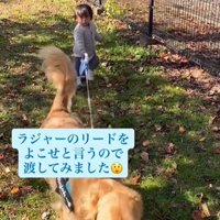 リードを持つ男の子と犬1