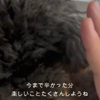 これからは幸せが待ってるね