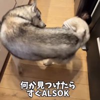 「どこ行くの？」