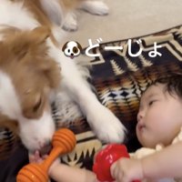 優しいお兄ちゃん