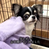 撫でられるまでに