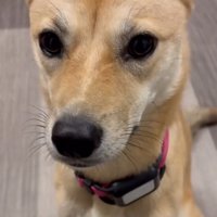 たくさん愛されていることが伝わります…