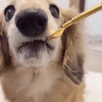 ウキウキでパクッ♪