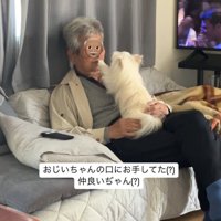 手