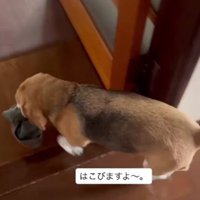 どこかへ運びます