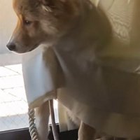 可愛くて憎めません♡