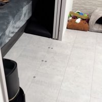 ベッドに誰かいる…！