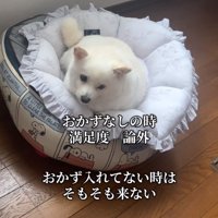 ベッドから動かないべらちゃん
