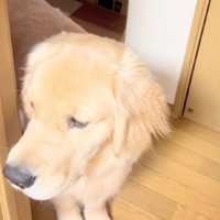 「ヤッター♪」