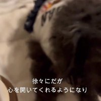 嬉しそうに駆け寄ってきてくれる