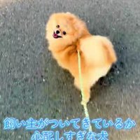 可愛い姿にホッコリ