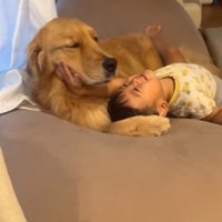 嬉しそうな弟くん