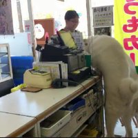思わず駆け寄る2匹