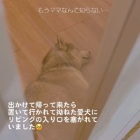 いじけるセナくん1