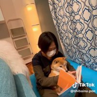 絵本を見るポンさん