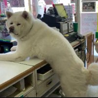 「今日はお客さん来るかな？」
