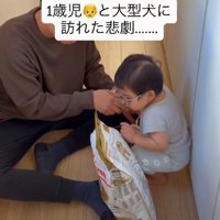 犬にごはんをあげたくて…
