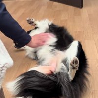 やっと終わったみたい…！