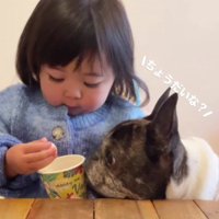 丸男ちゃんがおねだりするも…