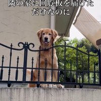 ララちゃんの熱烈歓迎2