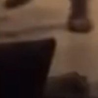 足のようなシルエット